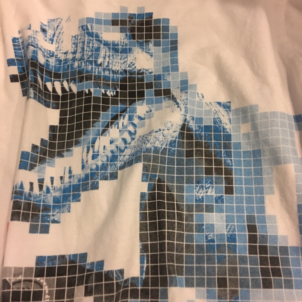 Long Sleeve shirt- Calling all Dinosaur Lovers